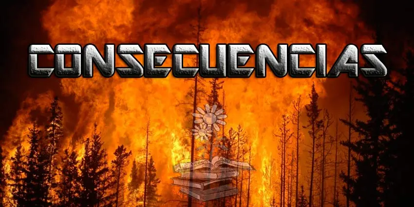 consecuencias incendios forestales portada