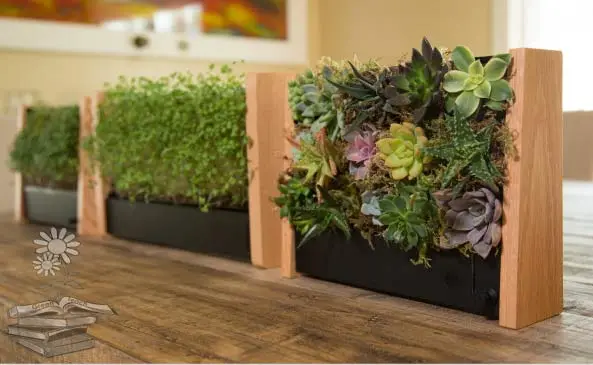 EcoQube con brotes y plantas decorativas