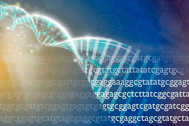 genética ADN, teorias envejecimiento