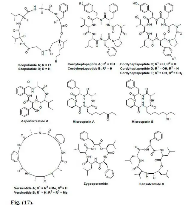 péptidos marinos Figura 17