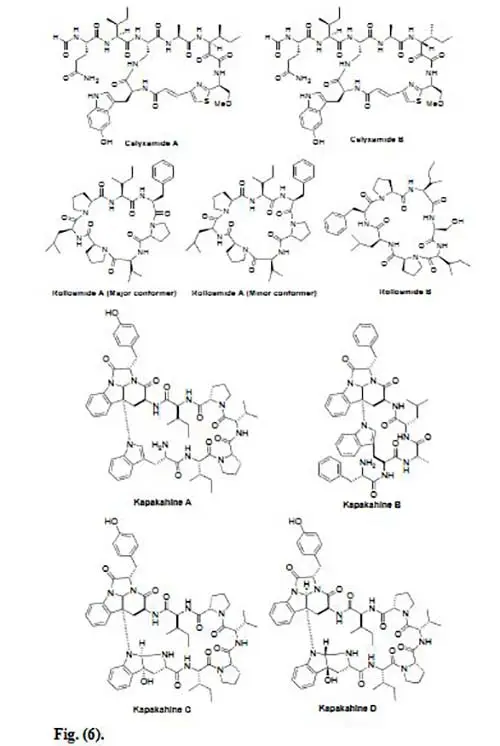 péptidos marinos Figura 6