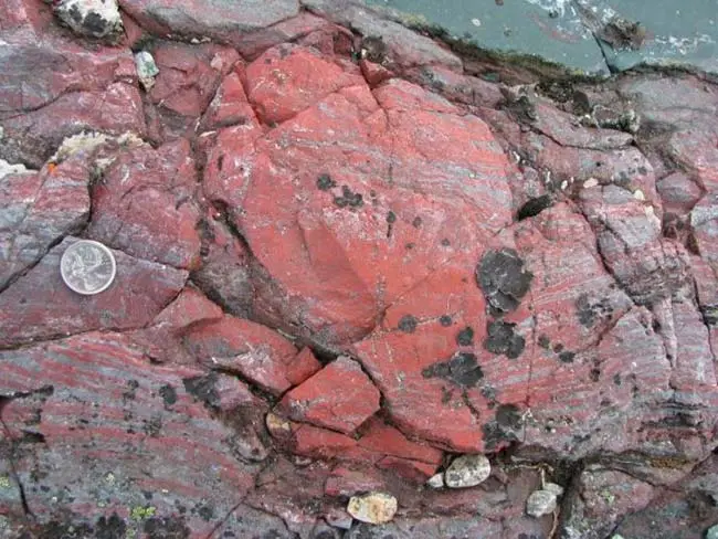 huellas primeros microorganismos en rocas grafito