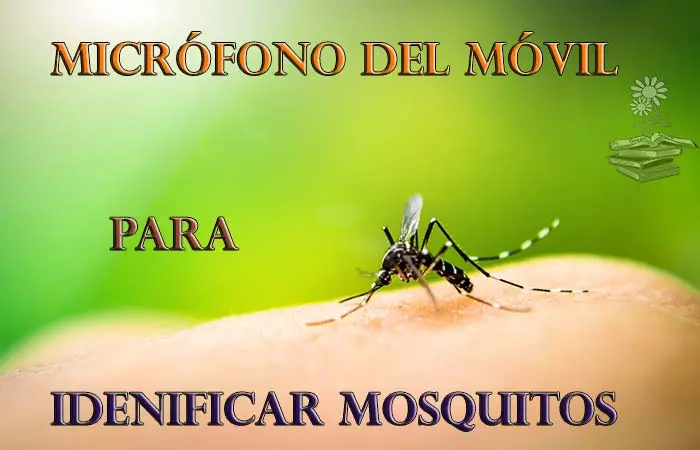 micrófono del móvil para identificar mosquitos Portada