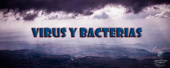 virus y bacterias caen del cielo Portada