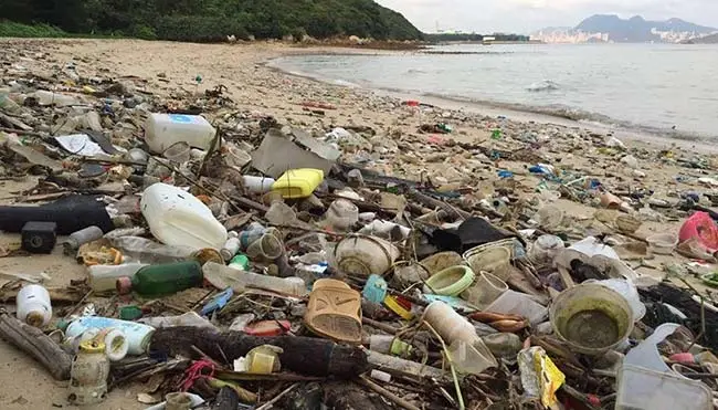 playa Hawai contaminacion plasticos
