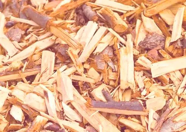 biomasa de madera