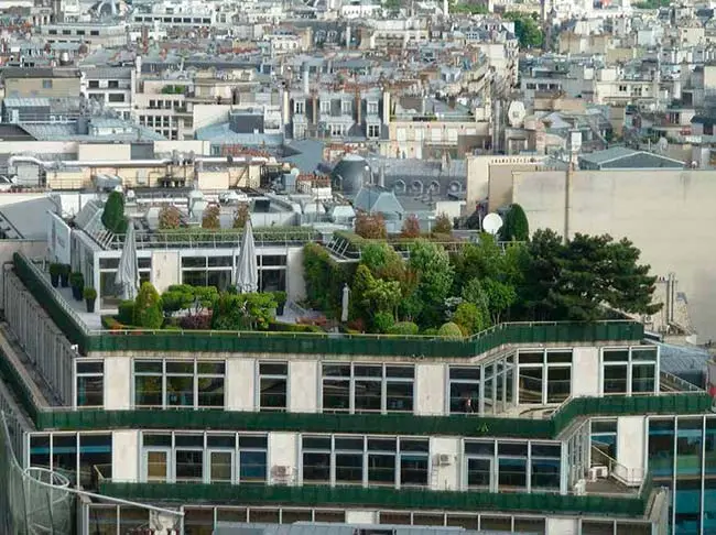 tejado verde como medida para la conservacion de la biodiversidad
