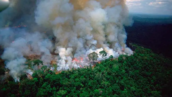 incendios del Amazonas Portada