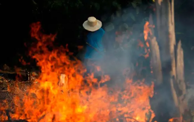 causas incendios del Amazonas