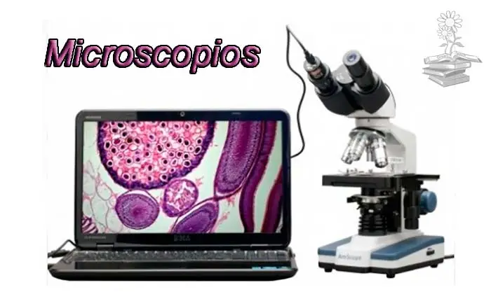 Microscopio optico portada lila