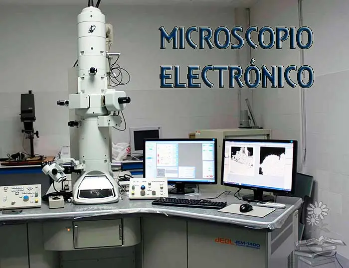 microscopio electronico portada