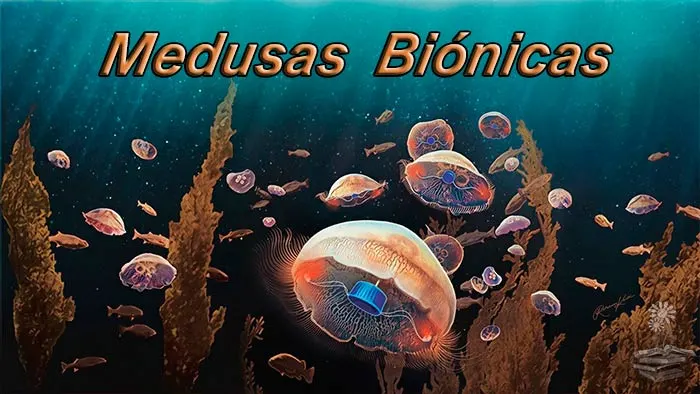 medusas bionicas portada