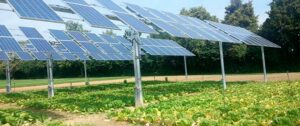 Agrovoltaica O Agrofotovoltaica: Aplicación De Energía Solar En Agricultura