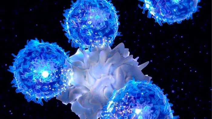 linfocito T Inmunoterapia contra el cancer portada