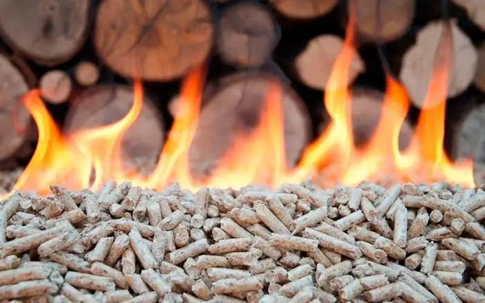 quemadores de biomasa portada