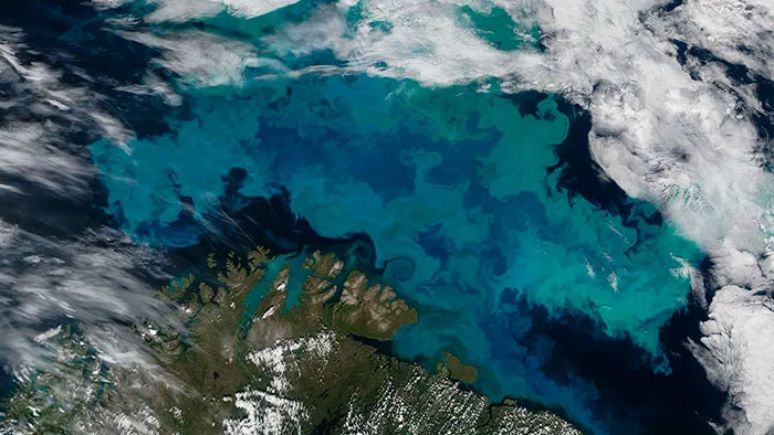 El cambio climático está cambiando el color de los océanos portada