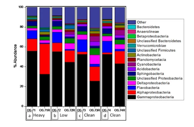 analisis filogenetico a nivel de filo y clase de bibliotecas de pirosecuencias bacterianas SSU ARNr, basadas en ARN y ADN