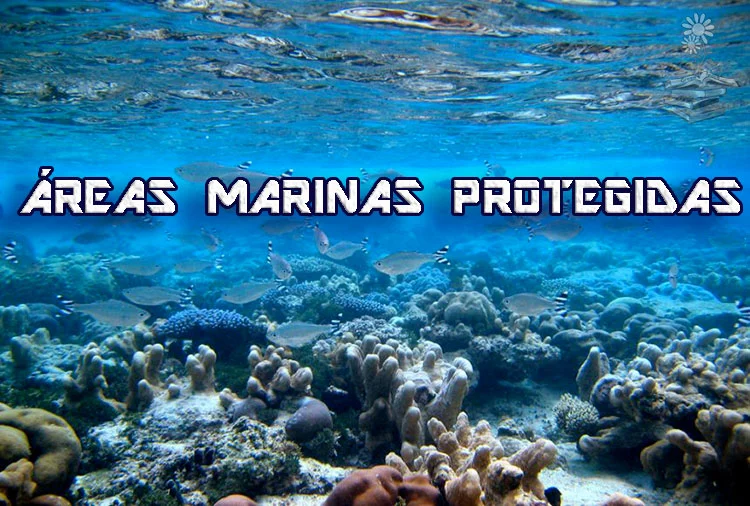áreas marinas protegidas portada
