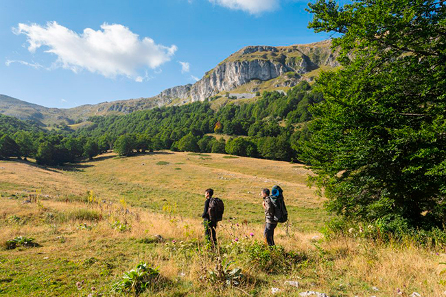 rewilding y turismo