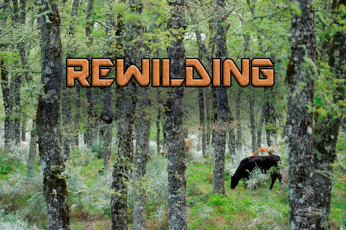 rewilding portada