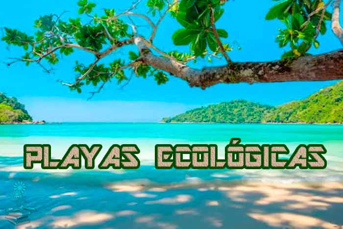 playas ecológicas portada