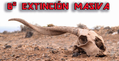 portada 6ª extincion masiva