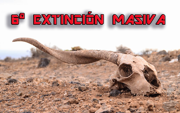 portada 6ª extincion masiva