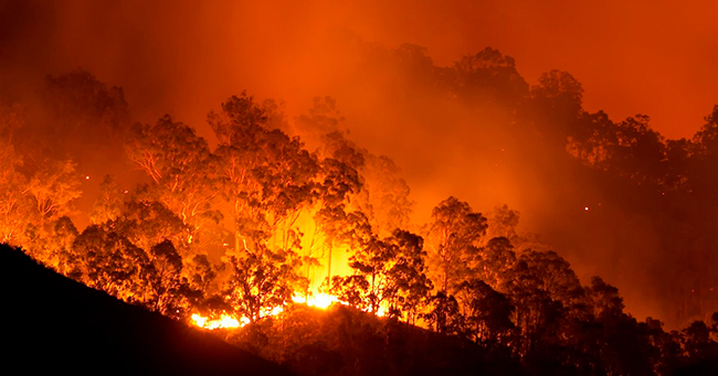 fuego incendios forestales australianos de 2019-2020