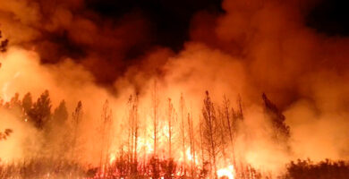 incendios forestales australianos de 2019-2020 portada