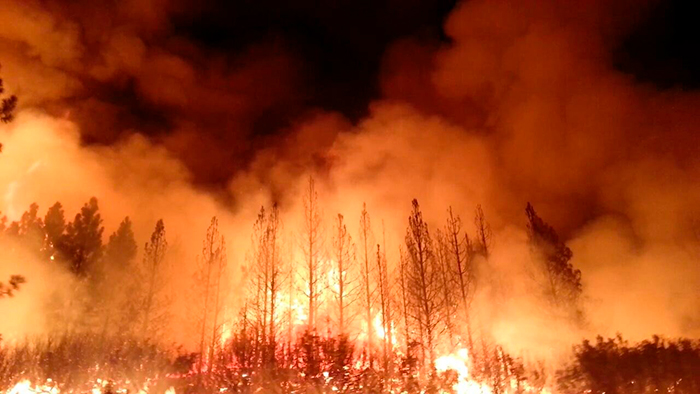 incendios forestales australianos de 2019-2020 portada