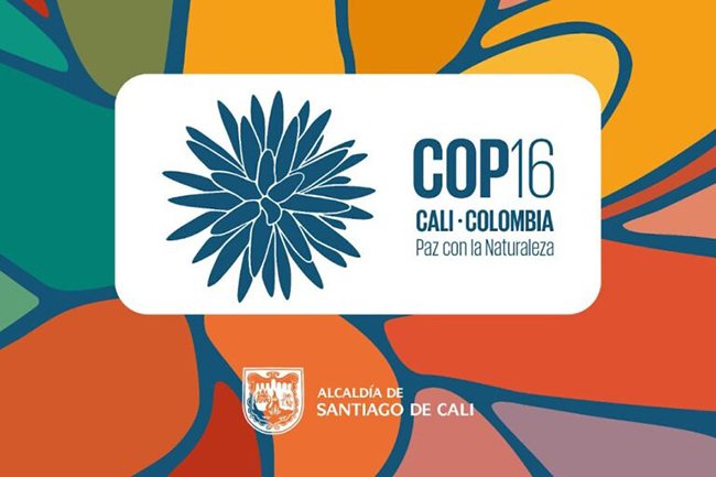 logo COP 16 de Biodiversidad