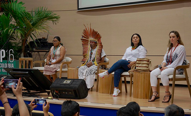 pueblos indigenas COP 16