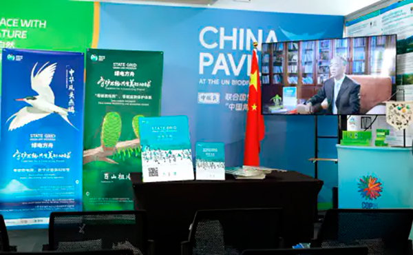 proyectos de China en COP 16