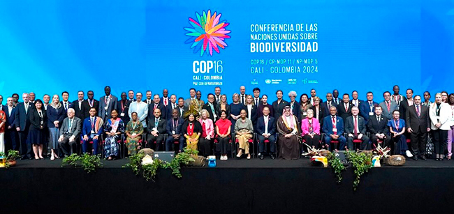 reunion final COP 16 Biodiversidad en Colombia