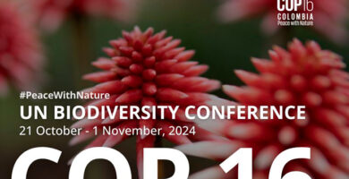 COP 16 de Biodiversidad portada