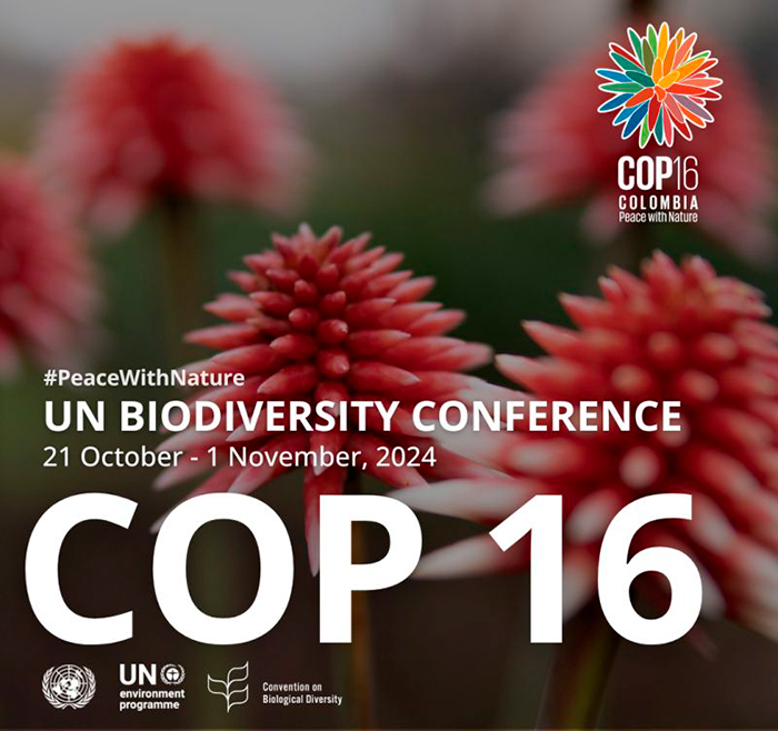 COP 16 de Biodiversidad portada