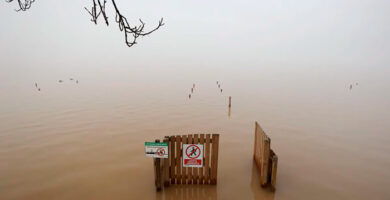 Albufera de Valencia inundada portada