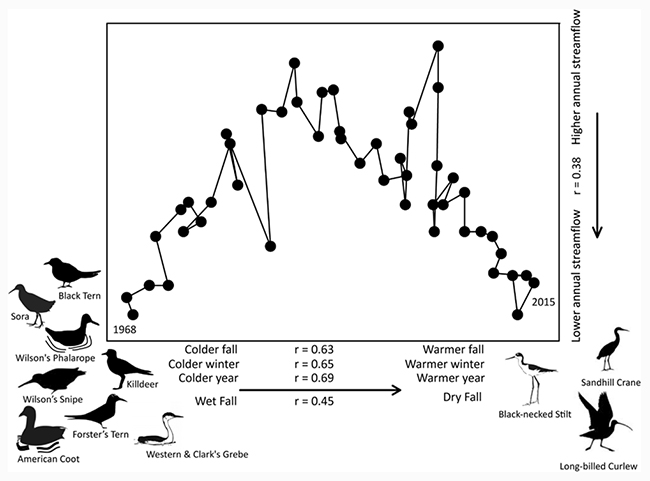 Figura 4 gráfico cambios comunidades de aves acuáticas en la Gran Cuenca, del trabajo sobre humedales alterados por el clima de ambientes áridos