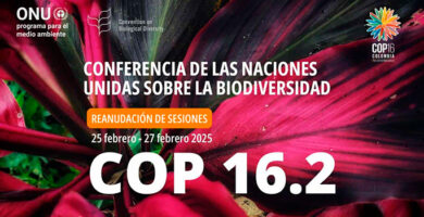 segunda parte de la COP 16 de Biodiversidad portada