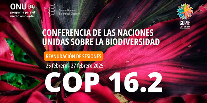 segunda parte de la COP 16 de Biodiversidad portada