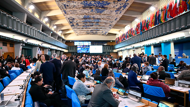 segunda parte de la COP 16 de Biodiversidad en Roma